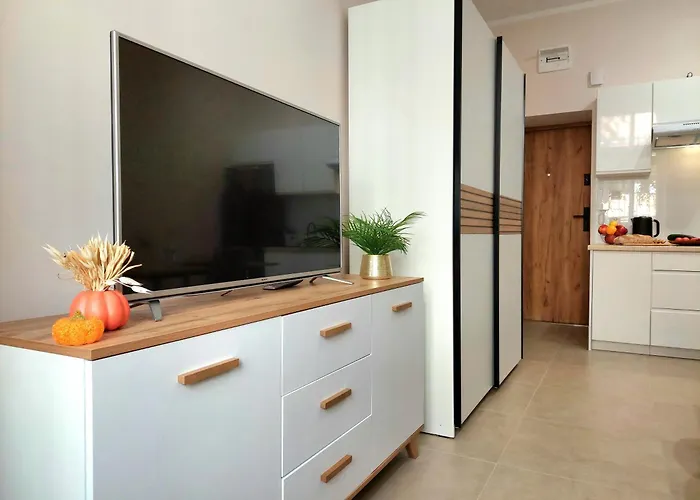 Tropikalny W Samym Centrum, Z Parkingiem, 400m Do Pkp I Bus Bílsko-Bělá